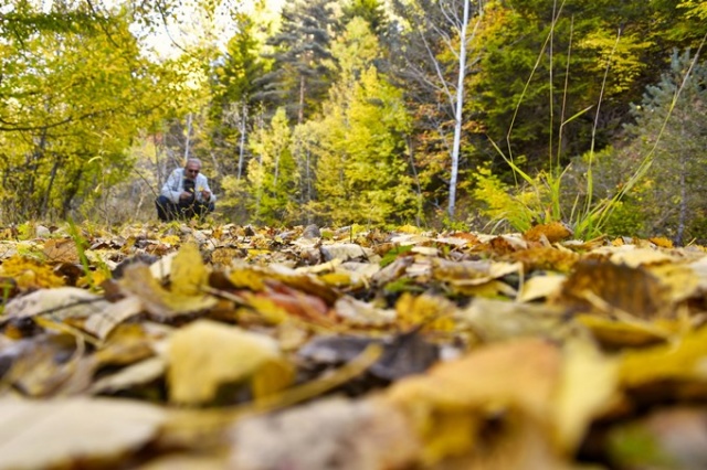 Zigana rengarenk oldu 10