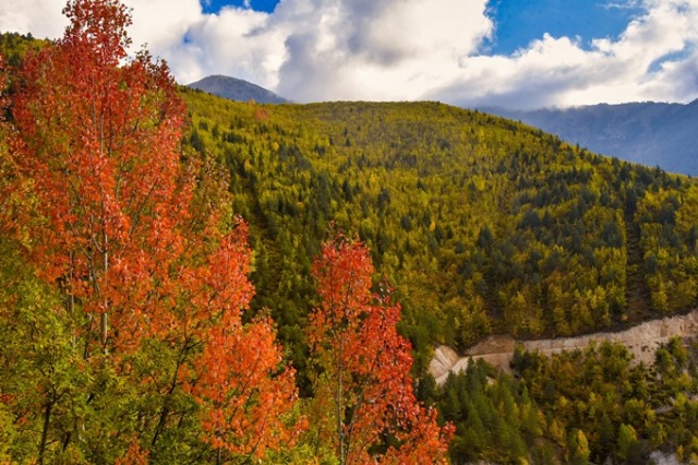 Zigana rengarenk oldu 20