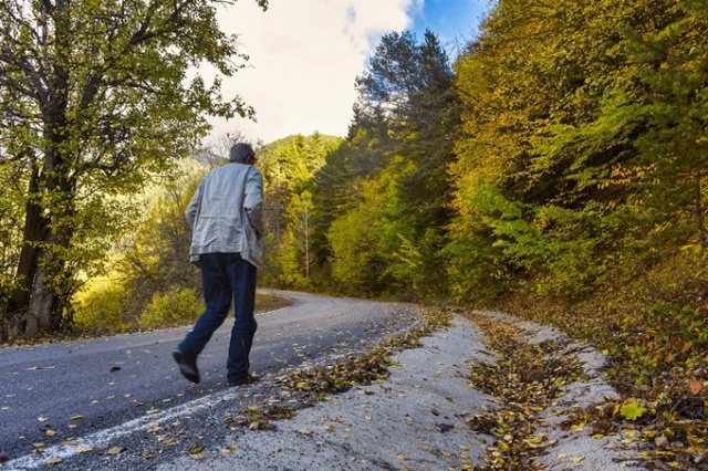 Zigana rengarenk oldu 12
