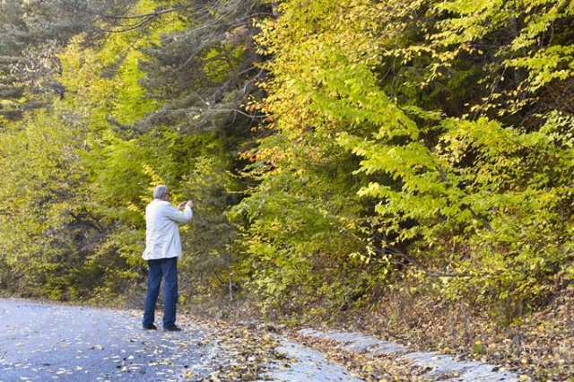 Zigana rengarenk oldu 16