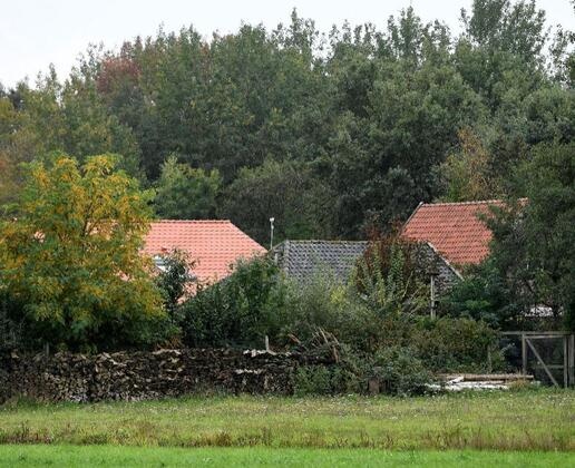 Dehşet evi! Dolabın arkasında gizli bir merdiven bulup aşağı indiler... 9