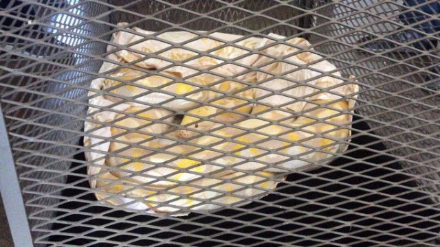 Sınırda timsah ve kertenkele dolu araç yakalandı 6