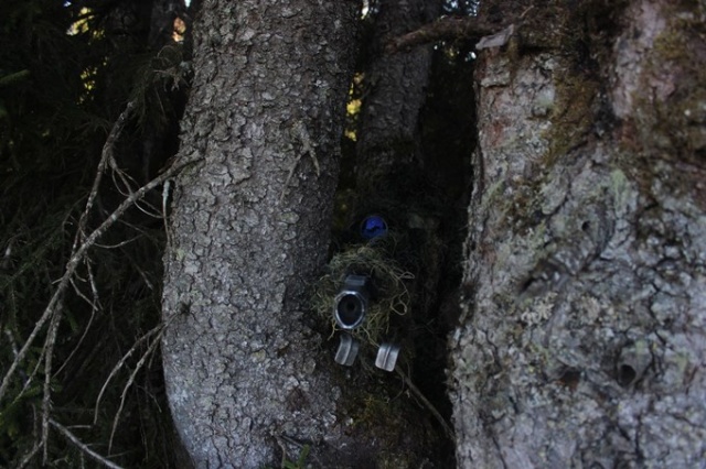 Mehmetçik Doğu Karadeniz'de teröristlere göz açtırmıyor 8