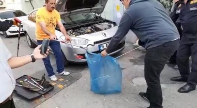 Satın aldığı otomobilden yılan çıktı 3