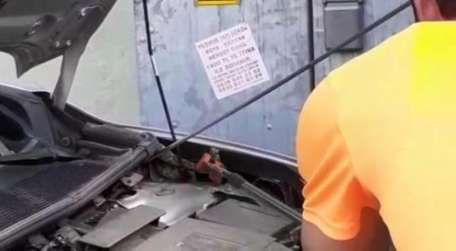 Satın aldığı otomobilden yılan çıktı 7