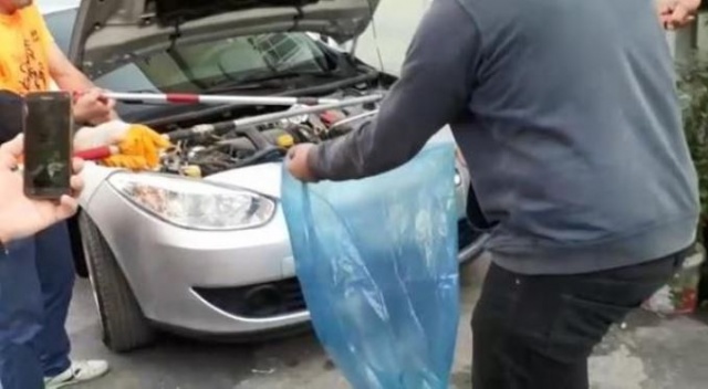 Satın aldığı otomobilden yılan çıktı 5