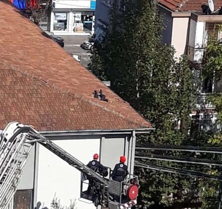 5 saatlik ikna çabaları sonuçsuz kaldı! 52 metreden aşağıya atladı 6