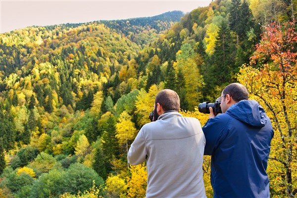 Karadeniz'de doğal ağaç müzesi büyülüyor 14