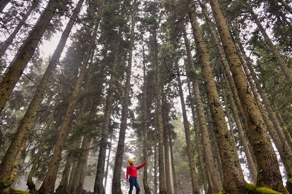 Karadeniz'de doğal ağaç müzesi büyülüyor 10