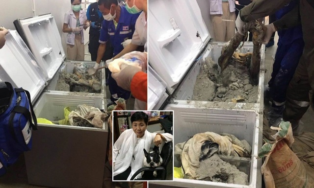 İş kadınının cesedi buzdolabından çıktı! 5