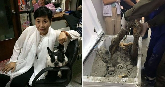 İş kadınının cesedi buzdolabından çıktı! 3