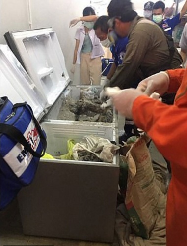 İş kadınının cesedi buzdolabından çıktı! 7