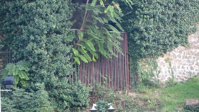 Trabzon'un en gözde yerine sahip çıktılar 11