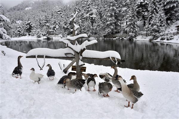 Beyazın en yakıştığı göl limni! 8