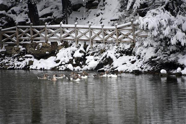 Beyazın en yakıştığı göl limni! 7