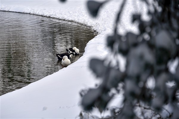 Beyazın en yakıştığı göl limni! 2