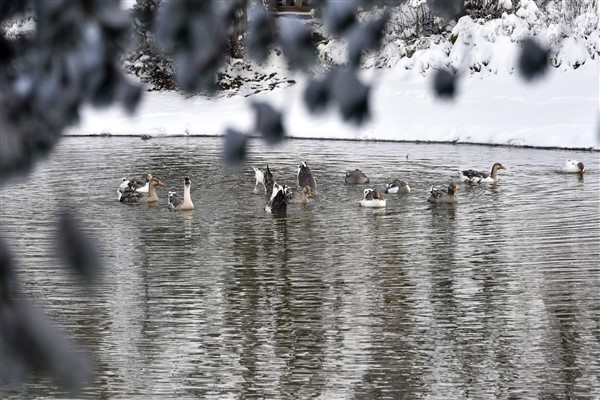Beyazın en yakıştığı göl limni! 14