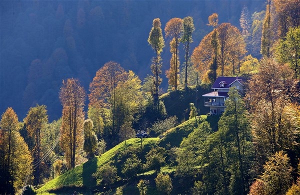 Hıdırnebi Yaylası sonbaharda görsel şölen sunuyor 7