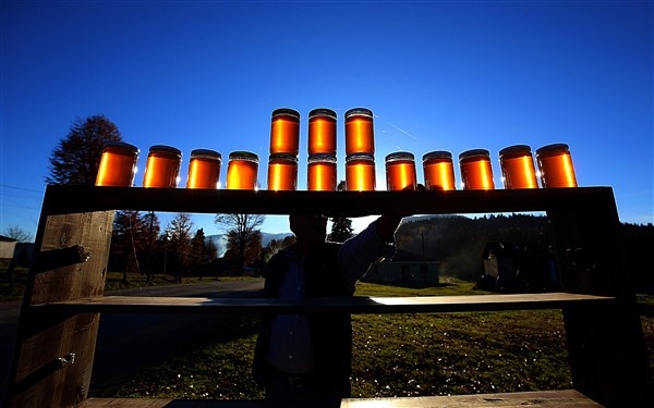 Hıdırnebi Yaylası sonbaharda görsel şölen sunuyor 2