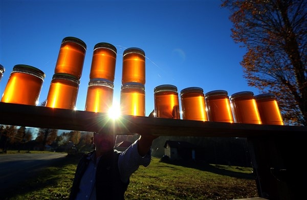 Hıdırnebi Yaylası sonbaharda görsel şölen sunuyor 3