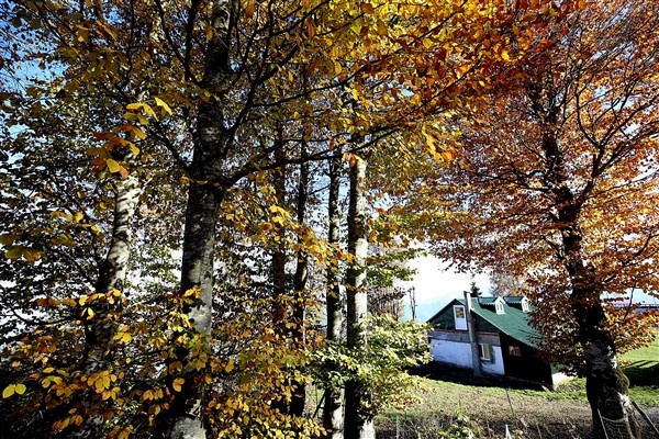 Hıdırnebi Yaylası sonbaharda görsel şölen sunuyor 13