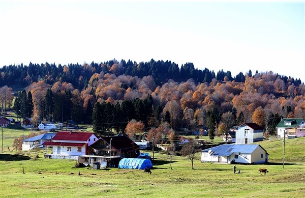 Hıdırnebi Yaylası sonbaharda görsel şölen sunuyor 4