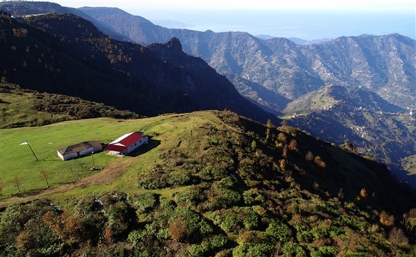 Hıdırnebi Yaylası sonbaharda görsel şölen sunuyor 12