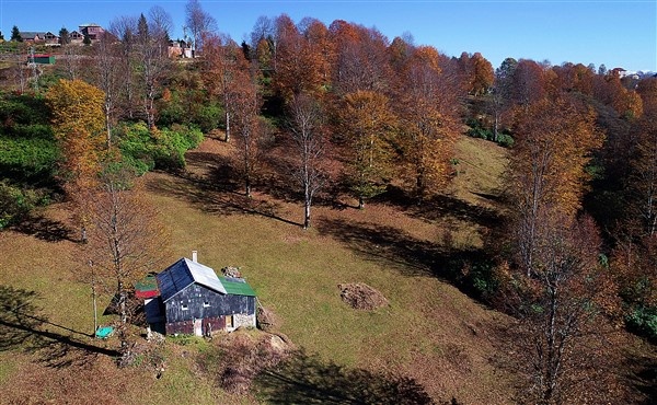 Hıdırnebi Yaylası sonbaharda görsel şölen sunuyor 11