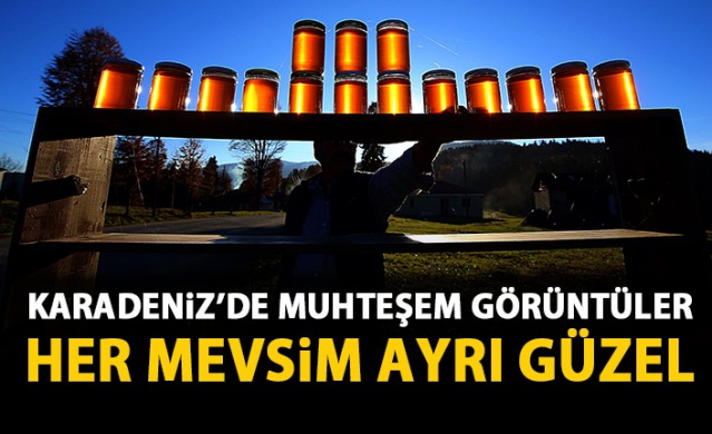 Hıdırnebi Yaylası sonbaharda görsel şölen sunuyor 1