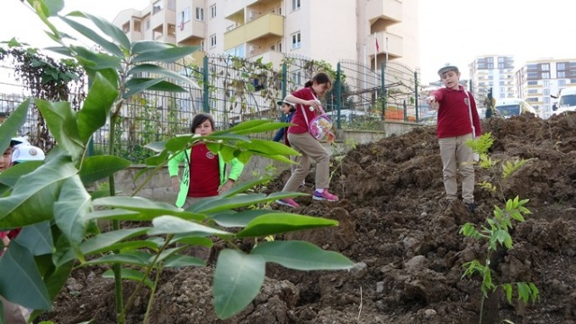 Himalayalar'dan Trabzon'a... 14