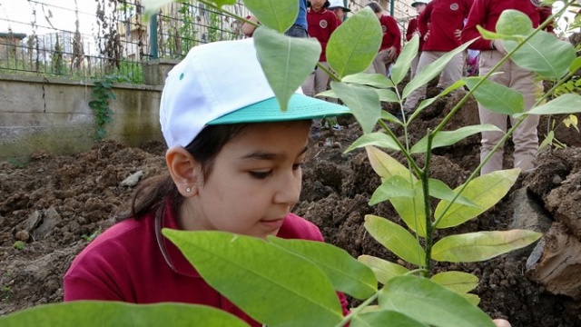 Himalayalar'dan Trabzon'a... 17