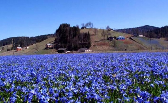 Yok olan 'Dipsiz Göl'e su verilmeye başlandı 32