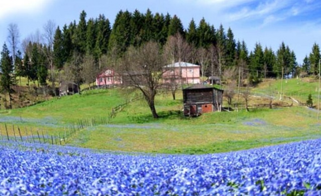 Yok olan 'Dipsiz Göl'e su verilmeye başlandı 29