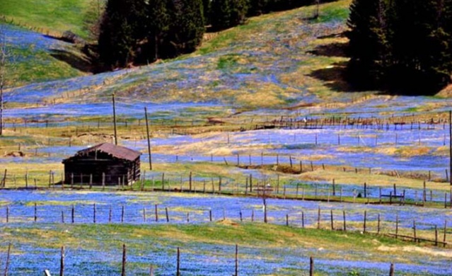 Yok olan 'Dipsiz Göl'e su verilmeye başlandı 30