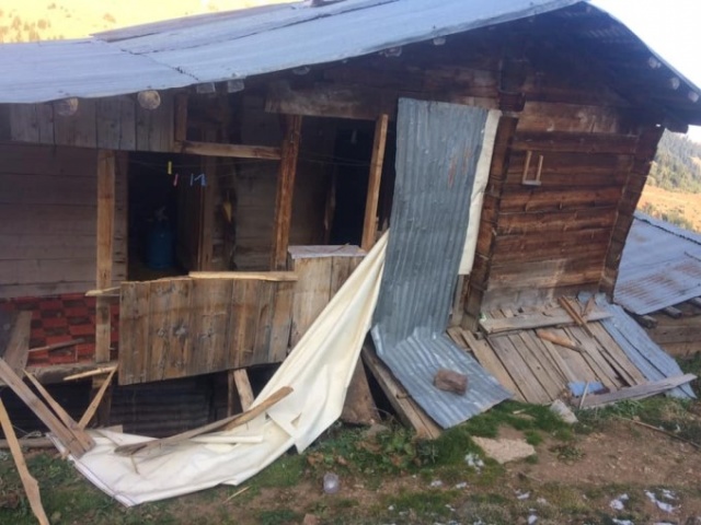 Yayla evlerine ayı baskını 6