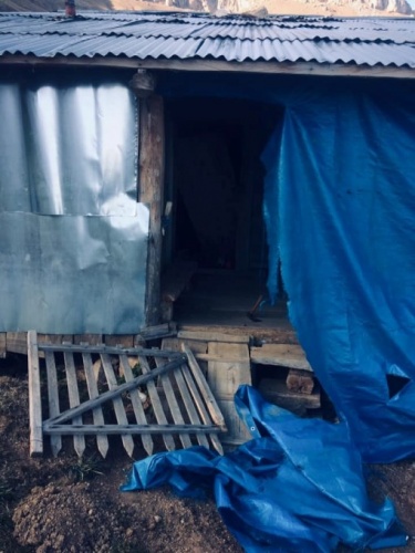 Yayla evlerine ayı baskını 3