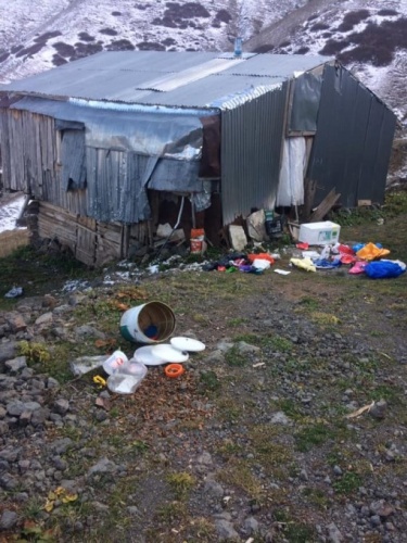 Yayla evlerine ayı baskını 8