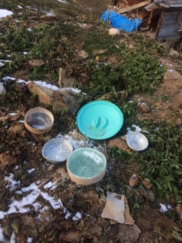 Yayla evlerine ayı baskını 5