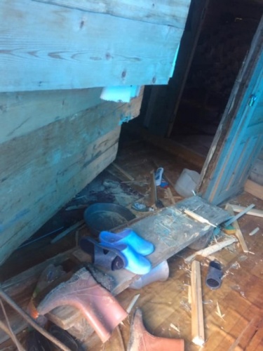 Yayla evlerine ayı baskını 2