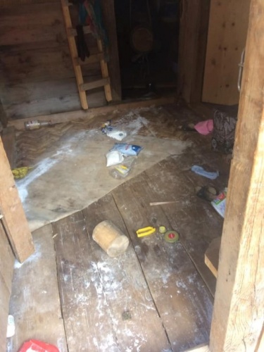 Yayla evlerine ayı baskını 4