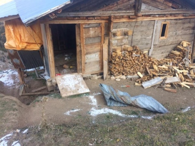Yayla evlerine ayı baskını 7