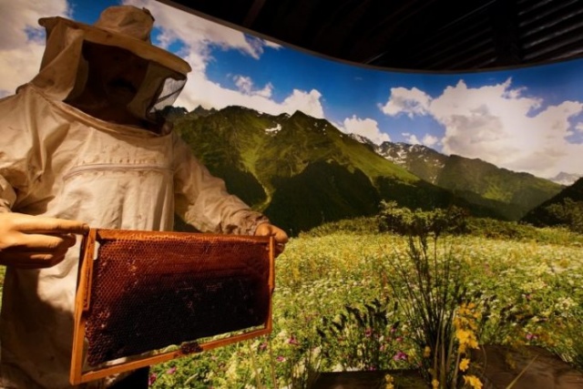 Karadeniz'in Hafızası: Müzeler 12