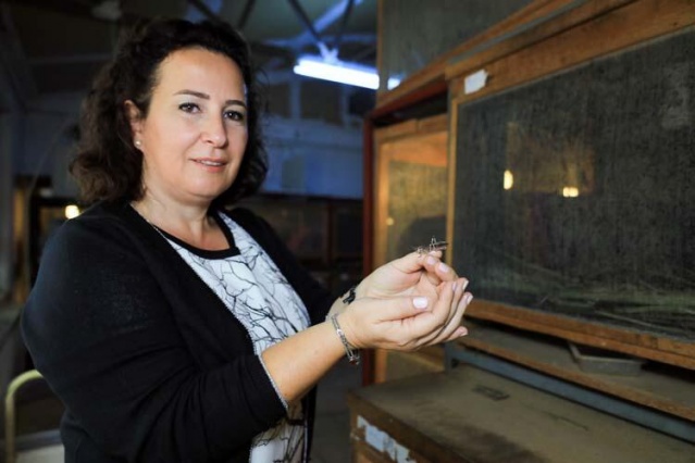 Türkiye'ye böcek satıyor 2