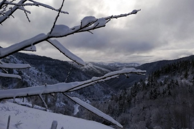 Doğu Karadeniz'de kar yüzünü gösteriyor 2
