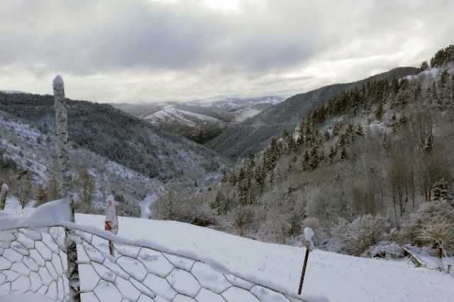 Doğu Karadeniz'de kar yüzünü gösteriyor 7