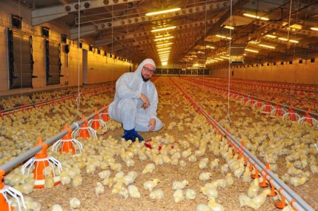 Gazetede gördü! Şimdi paraya para demiyor... 4