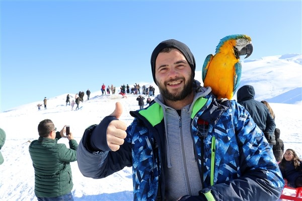 Zigana'da kızak keyfi 4