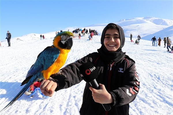 Zigana'da kızak keyfi 7