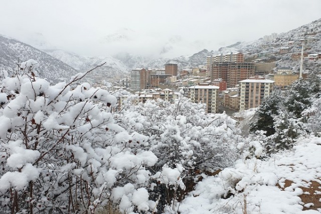 Gümüşhane beyaza büründü 4