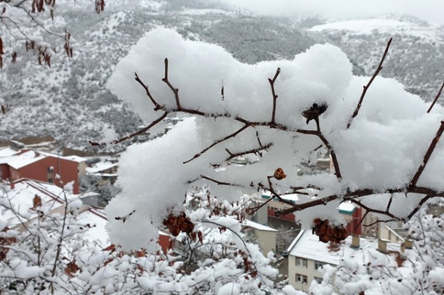 Gümüşhane beyaza büründü 3